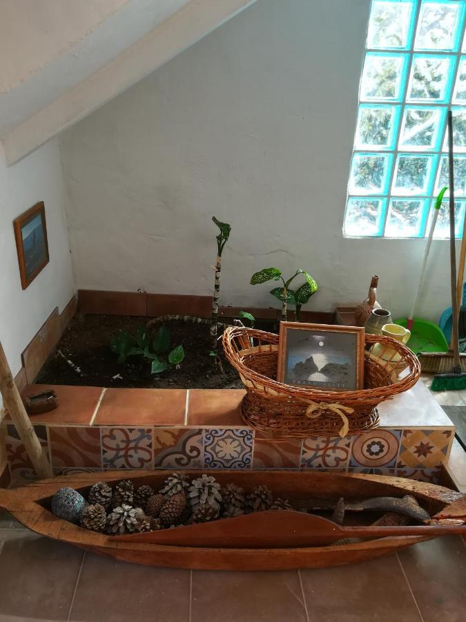Mogán Casa Mamanena 게스트하우스 외부 사진